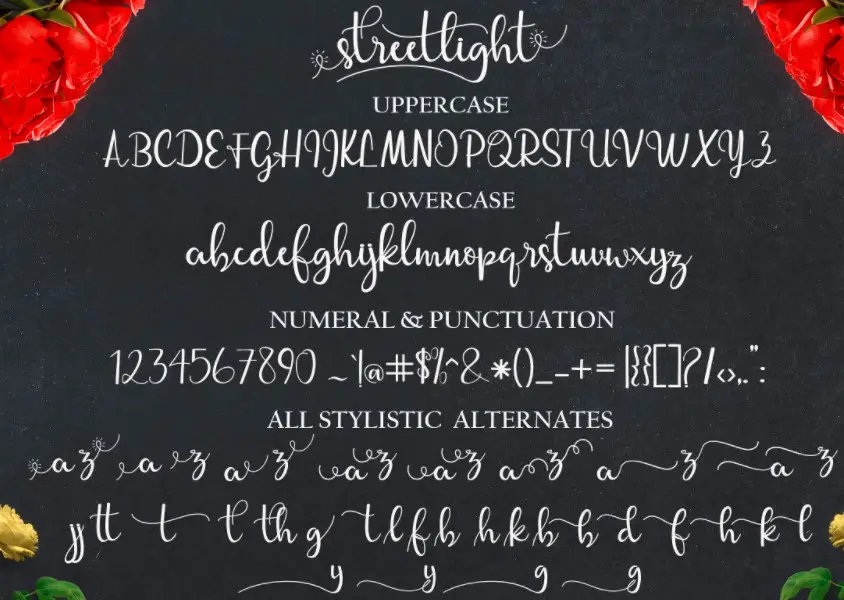 Streetlight Font View