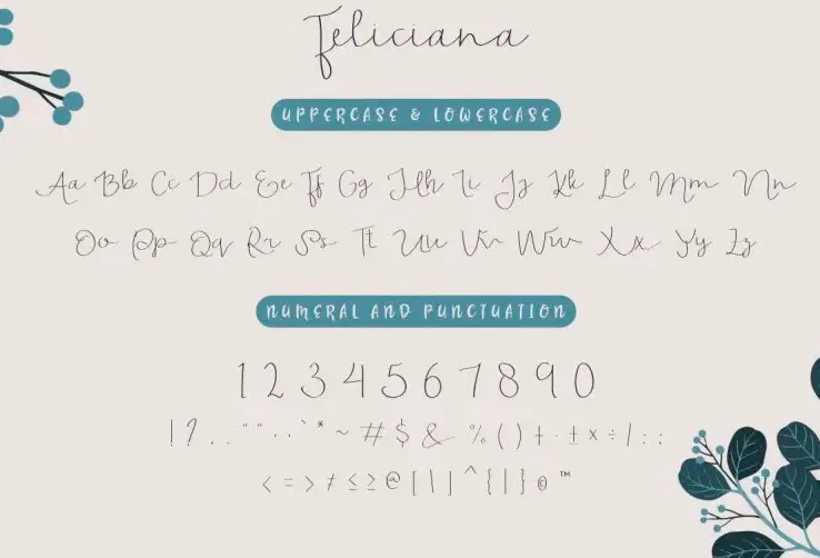 Feliciana Handwritten Font View