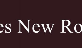 Times New Roman Font