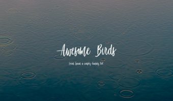 Awesome Birds Font