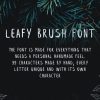 Leafy Brush Font