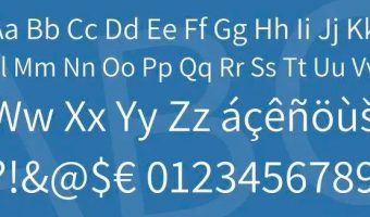 Assitant Font View