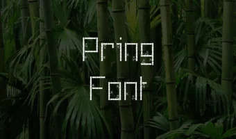 Pring Font
