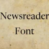 Newsreader Font