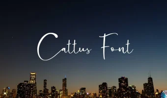 Cattus Font