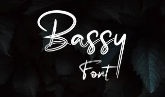 Bassy Font