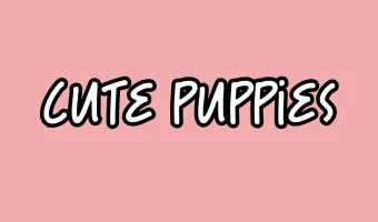 Cute Puppies Font