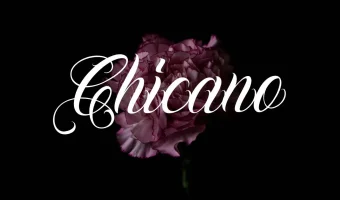 Chicano Font