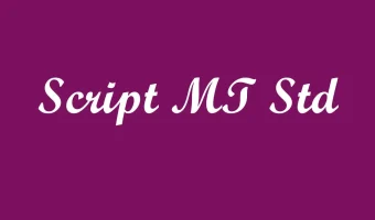 Script MT Std font